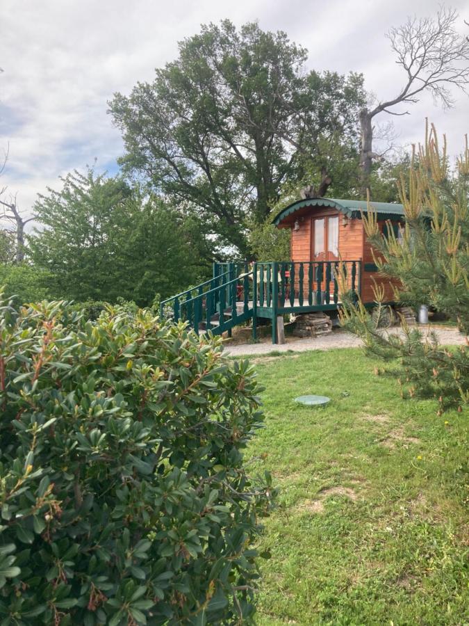 Domaine La Carriere Villa Toulon-sur-Allier Dış mekan fotoğraf